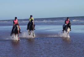 horse riding holidays